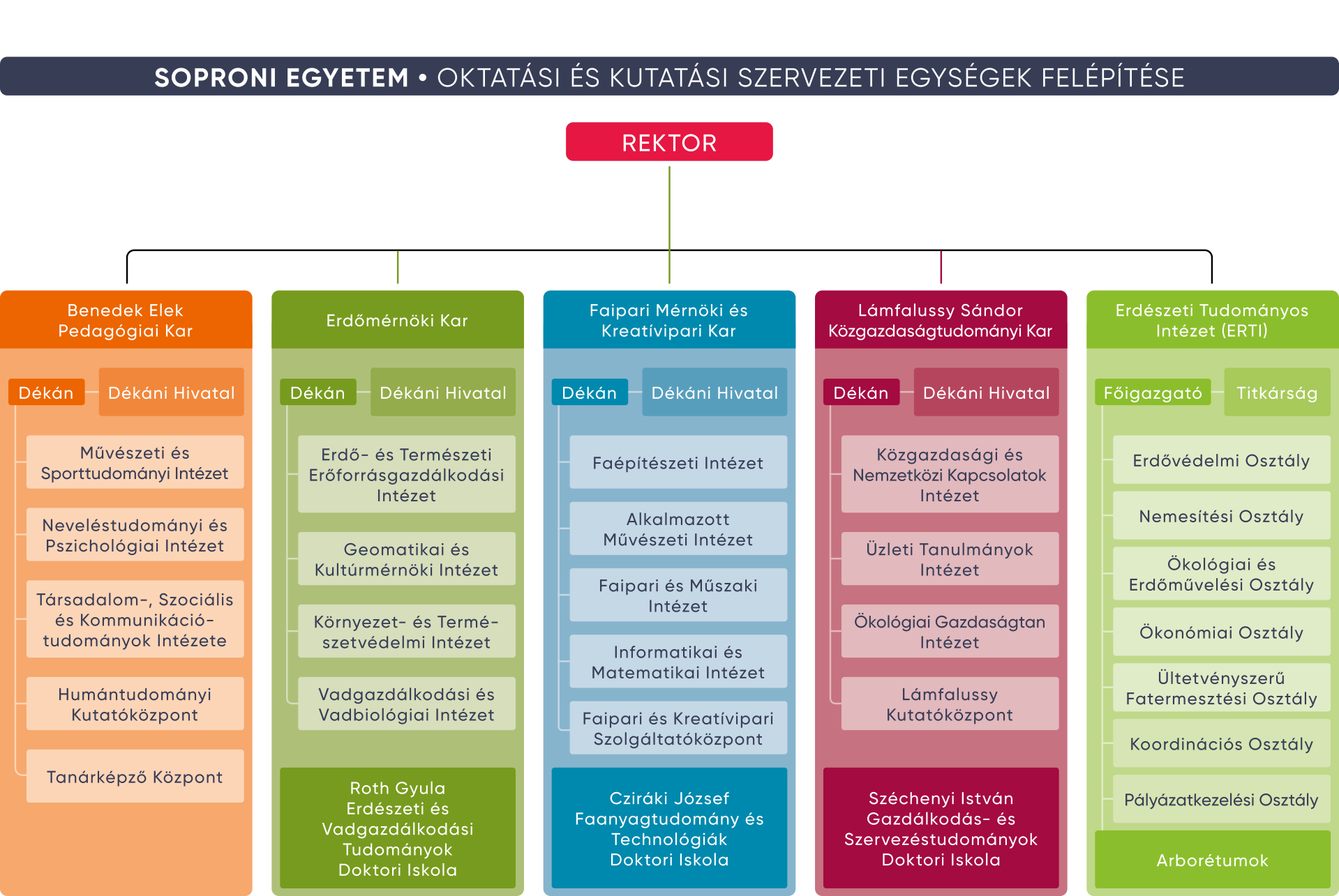 organogram_2.png